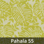 Hawai-55-Pahala