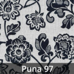 Hawai-97-Puna